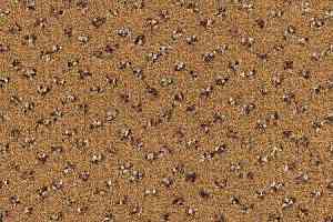 Ковролин Desso Trapez-Brlm 2048 фото  | FLOORDEALER