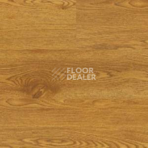 Линолеум Polyflor Expona Wood 6138 фото 1 | FLOORDEALER