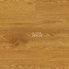 Линолеум Polyflor Expona Wood 6138 фото 1 | FLOORDEALER