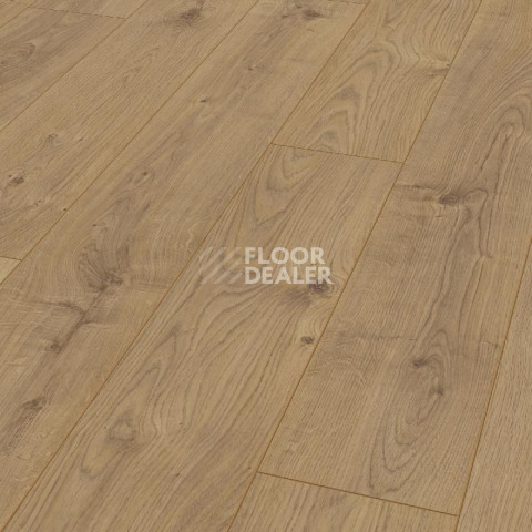 Ламинат Kronotex Mammut d4152 Дуб Эверест Натуральный фото 1 | FLOORDEALER