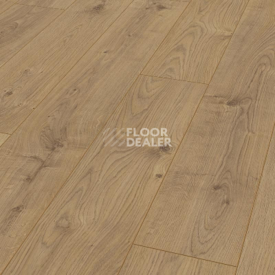 Ламинат Kronotex Mammut d4152 Дуб Эверест Натуральный фото 1 | FLOORDEALER