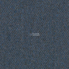 Shaw Momentum 02405 фото 1 | FLOORDEALER