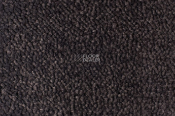 Ковролин Edel Vanity 193 фото 1 | FLOORDEALER