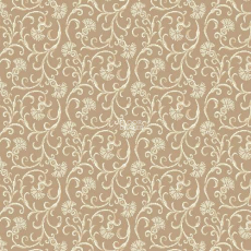 Agnella Natural Asami Dark Beige фото 1 | FLOORDEALER