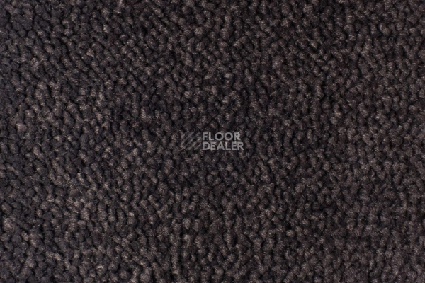 Ковролин Edel Vanity 193 фото 1 | FLOORDEALER