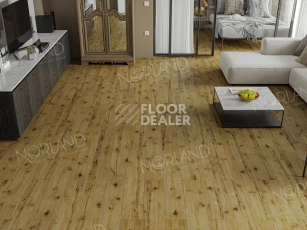 Norland Elegant 8мм Дуб Скай LF301-14 фото 2 | FLOORDEALER