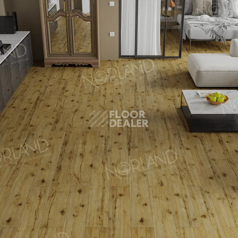 Norland Elegant 8мм Дуб Скай LF301-14 фото 2 | FLOORDEALER
