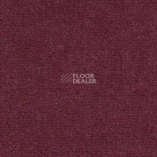 Ковролин Balsan Sydney DD 590 фото 1 | FLOORDEALER
