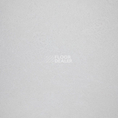 Линолеум Novoflor Extra Sparkle 2440-56 фото 1 | FLOORDEALER