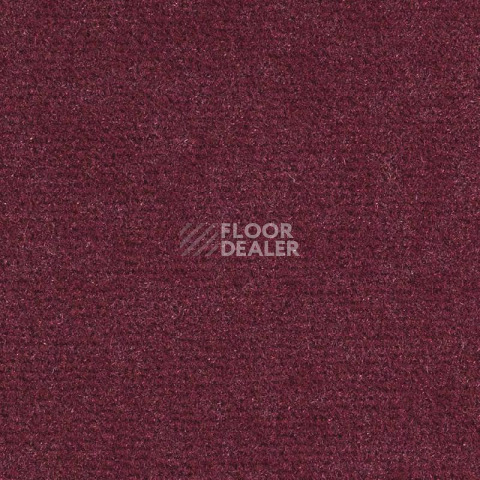 Ковролин Balsan Sydney DD 590 фото 1 | FLOORDEALER