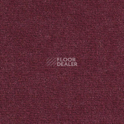 Ковролин Balsan Sydney DD 590 фото 1 | FLOORDEALER