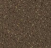 Ковролин Vorwerk Passion 1047 Vorwerk 7g51 фото 1 | FLOORDEALER