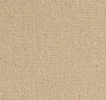 Ковролин Balsan Sydney DD 640 фото 1 | FLOORDEALER