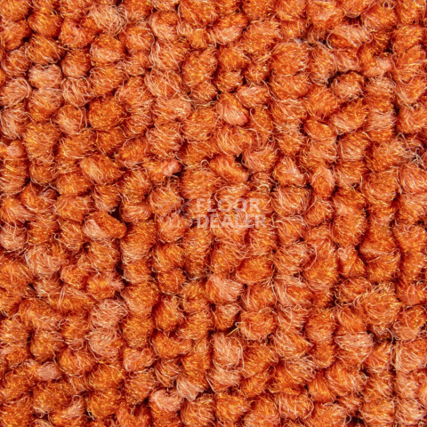 Balsan Season - Summer / Winter 430 фото 2 | FLOORDEALER