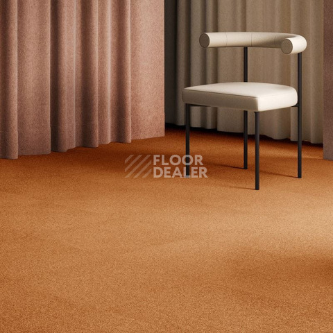 AW Maxima 85 фото 2 | FLOORDEALER