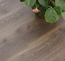 Vertigo Trend / Wood Registered Emboss