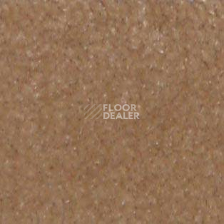 Ковролин Shaw all That Jazz 21240 фото 1 | FLOORDEALER