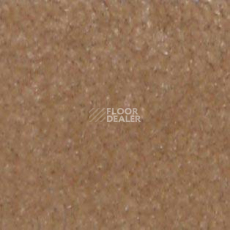 Ковролин Shaw all That Jazz 21240 фото 1 | FLOORDEALER