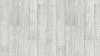 Линолеум Tarkett Club BARSA 1 фото 1 | FLOORDEALER