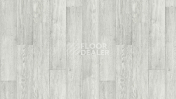Линолеум Tarkett Club BARSA 1 фото 1 | FLOORDEALER