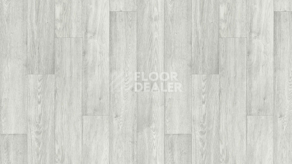 Линолеум Tarkett Club BARSA 1 фото 1 | FLOORDEALER
