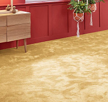 Vorwerk Superior 1067 Mira Vorwerk 2f39 фото 2 | FLOORDEALER