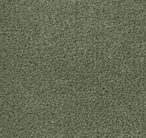 Ковролин Radici Montecarlo 74 фото 1 | FLOORDEALER