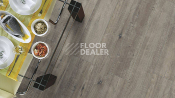 Kronotex Exquisit 8мм d4786 Дуб Гала Серый фото 4 | FLOORDEALER