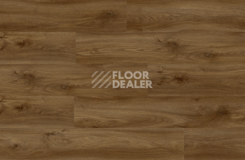 Moduleo Roots 0.55 EIR дерево SIERRA OAK 58876Q фото 2 | FLOORDEALER