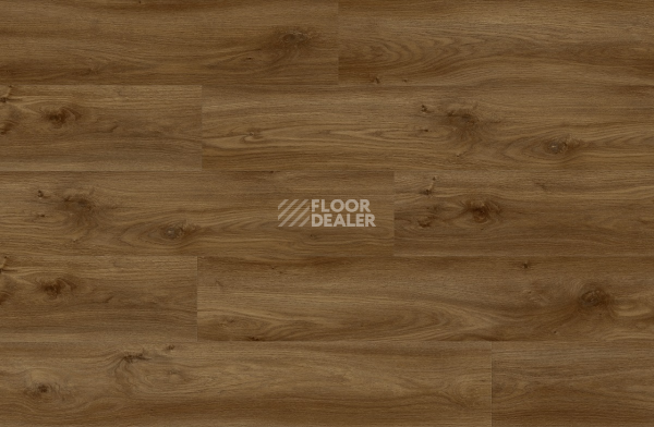 Кварцвиниловые полы Roots 0.55 EIR дерево SIERRA OAK 58876Q фото 2 | FLOORDEALER