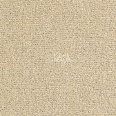 Ковролин Balsan Sydney DD 605 фото 1 | FLOORDEALER