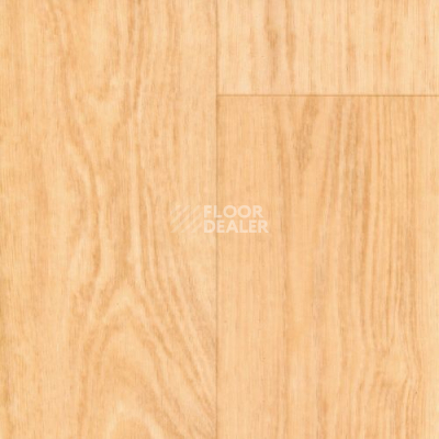 Линолеум Graboflex Start Wood 4181-651 фото 1 | FLOORDEALER