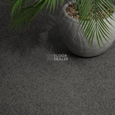Haima Noble 60 фото 13 | FLOORDEALER