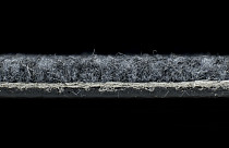 IVC Liberate 569 фото 7 | FLOORDEALER