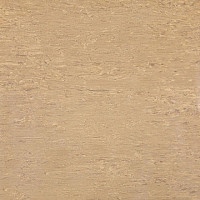 Линолеум Tarkett Alfa Standard Alfa 105 фото 1 | FLOORDEALER