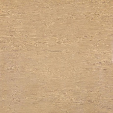 Tarkett Alfa Standard Alfa 105 фото 1 | FLOORDEALER