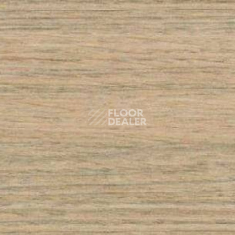 Плинтус Dollken EP 60/13 2694 фото 2 | FLOORDEALER