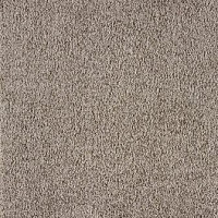 Ковролин Big Vivaldi 314 фото 1 | FLOORDEALER