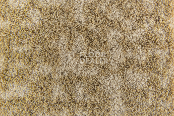Forbo Flotex Colour s 246012 Metro Sand фото 3 | FLOORDEALER