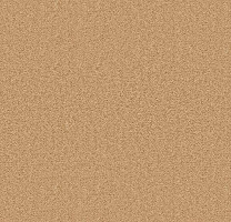 Ковролин Forbo Showtime Nuance 900203 фото 1 | FLOORDEALER