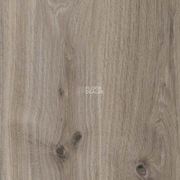 Parador Basic Plus 400 1744347 Дуб Базальтовый Серый фото 2 | FLOORDEALER