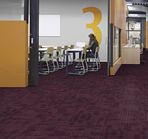 Tessera Alignment 202 Elixir фото 2 | FLOORDEALER