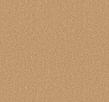 Ковролин Forbo Showtime Nuance 900203 фото 1 | FLOORDEALER