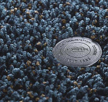 Ковролин Vorwerk Superior 1041 Vorwerk 3p95 фото 1 | FLOORDEALER