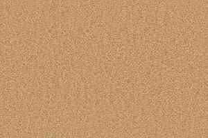 Ковролин Forbo Showtime Nuance 900203 фото  | FLOORDEALER