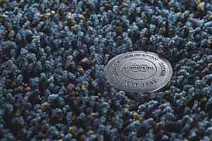 Ковролин Vorwerk Superior 1041 Vorwerk 3p95 фото  | FLOORDEALER