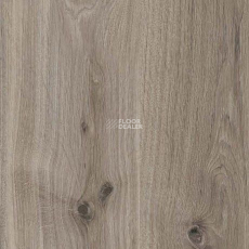 Parador Basic Plus 400 1744347 Дуб Базальтовый Серый фото 2 | FLOORDEALER