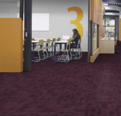 Tessera Alignment 202 Elixir фото 2 | FLOORDEALER