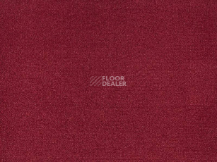 Ковролин Big Andorra 451 фото 1 | FLOORDEALER