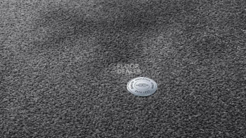 Ковролин Vorwerk Superior 1064/Lyrica Vorwerk 5x80 фото 1 | FLOORDEALER